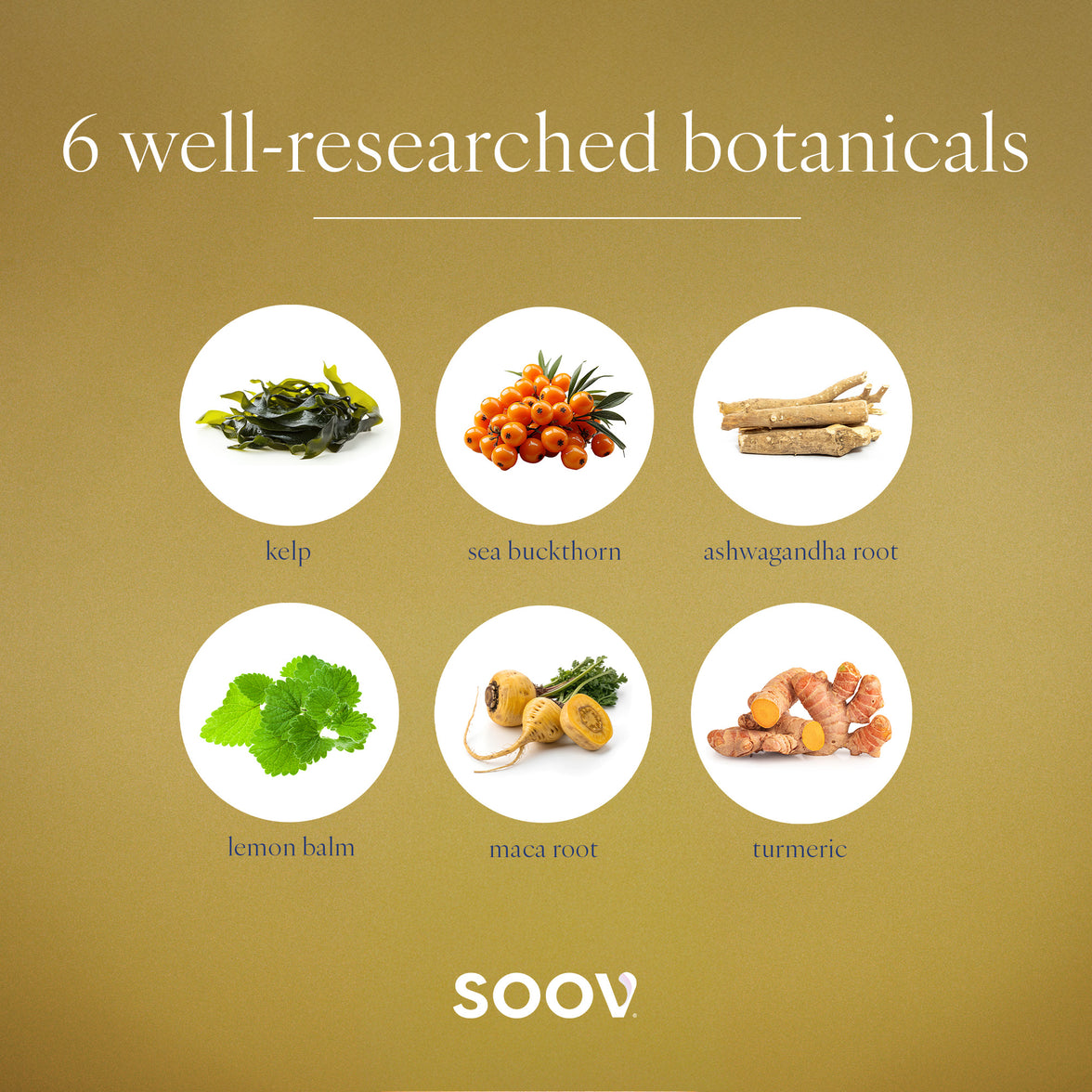 40+ - Daily Multivitamin